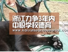 开云体育首页