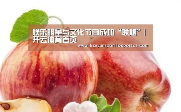 娱乐明星与文化节目成功“联姻”|开云体育首页(图2) 开云热门赛事